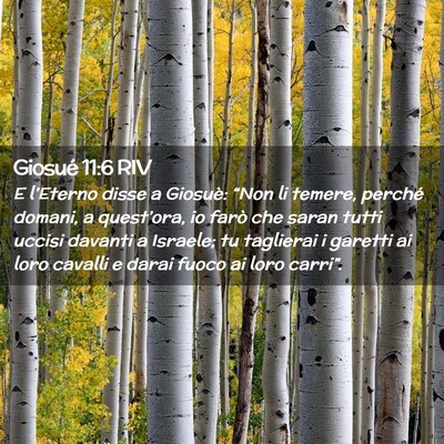 Picture 02 - Giosué 11:6 RIV - E l’Eterno disse a Giosuè: “Non li temere, - Bible Verse Picture