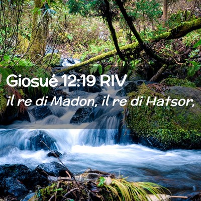 Picture 02 - Giosué 12:19 RIV - il re di Madon, il re di - Bible Verse Picture