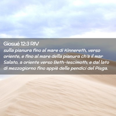 Picture 02 - Giosué 12:3 RIV - sulla pianura fino al mare di Kinnereth, verso - Bible Verse Picture