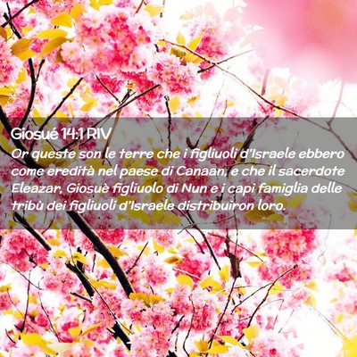 Picture 02 - Giosué 14:1 RIV - Or queste son le terre che i figliuoli - Bible Verse Picture