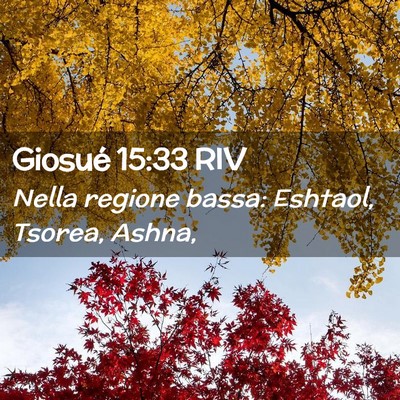 Picture 02 - Giosué 15:33 RIV - Nella regione bassa: Eshtaol, Tsorea, - Bible Verse Picture