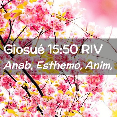 Picture 02 - Giosué 15:50 RIV - Anab, Esthemo, - Bible Verse Picture