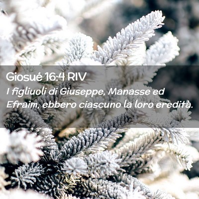 Picture 02 - Giosué 16:4 RIV - I figliuoli di Giuseppe, Manasse ed Efraim, - Bible Verse Picture