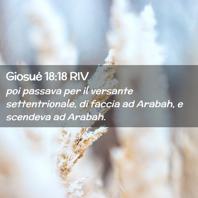 Picture 02 - Giosué 18:18 RIV - poi passava per il versante settentrionale, di - Bible Verse Picture