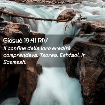 Picture 02 - Giosué 19:41 RIV - Il confine della loro eredità comprendeva: - Bible Verse Picture
