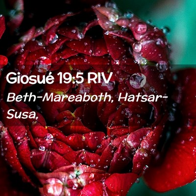 Picture 02 - Giosué 19:5 RIV - Beth-Mareaboth, - Bible Verse Picture