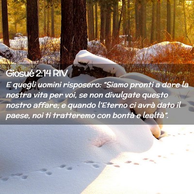 Picture 02 - Giosué 2:14 RIV - E quegli uomini risposero: “Siamo pronti a dare - Bible Verse Picture