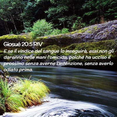 Picture 02 - Giosué 20:5 RIV - E se il vindice del sangue lo inseguirà, essi - Bible Verse Picture
