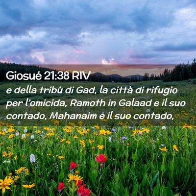 Picture 02 - Giosué 21:38 RIV - e della tribù di Gad, la città di rifugio per - Bible Verse Picture