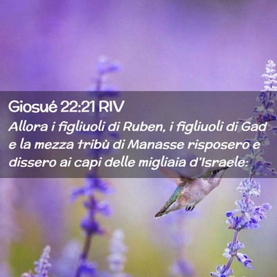 Picture 02 - Giosué 22:21 RIV - Allora i figliuoli di Ruben, i figliuoli di Gad e - Bible Verse Picture