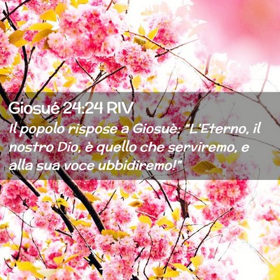Picture 02 - Giosué 24:24 RIV - Il popolo rispose a Giosuè: “L’Eterno, il - Bible Verse Picture