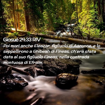 Picture 02 - Giosué 24:33 RIV - Poi morì anche Eleazar, figliuolo di Aaronne, e - Bible Verse Picture