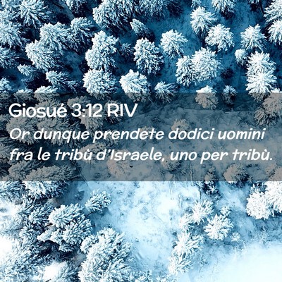 Picture 02 - Giosué 3:12 RIV - Or dunque prendete dodici uomini fra le tribù - Bible Verse Picture