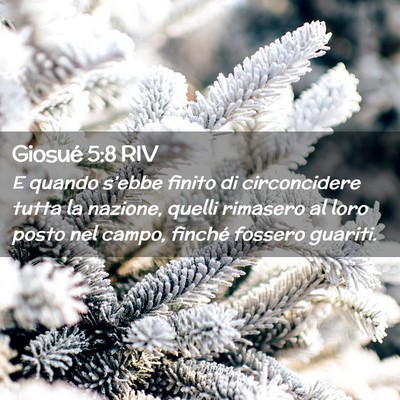 Picture 02 - Giosué 5:8 RIV - E quando s’ebbe finito di circoncidere tutta la - Bible Verse Picture