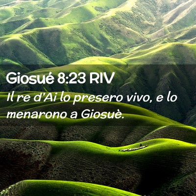 Picture 02 - Giosué 8:23 RIV - Il re d’Ai lo presero vivo, e lo menarono a - Bible Verse Picture