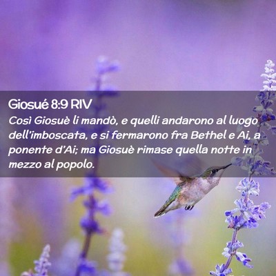 Picture 02 - Giosué 8:9 RIV - Così Giosuè li mandò, e quelli andarono al - Bible Verse Picture