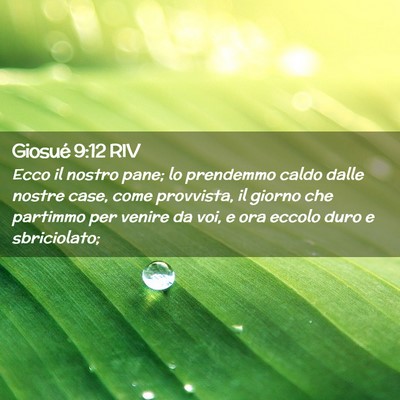 Picture 02 - Giosué 9:12 RIV - Ecco il nostro pane; lo prendemmo caldo dalle - Bible Verse Picture