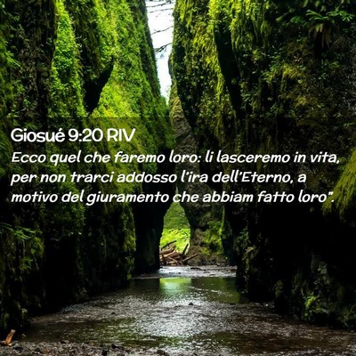 Picture 02 - Giosué 9:20 RIV - Ecco quel che faremo loro: li lasceremo in vita, - Bible Verse Picture