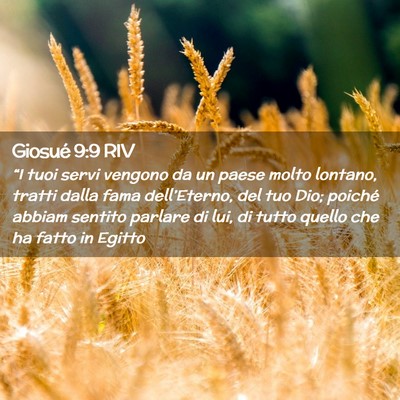 Picture 02 - Giosué 9:9 RIV - “I tuoi servi vengono da un paese molto - Bible Verse Picture