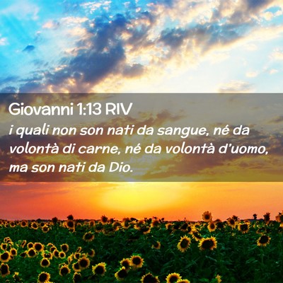 Picture 02 - Giovanni 1:13 RIV - i quali non son nati da sangue, né da volontà - Bible Verse Picture