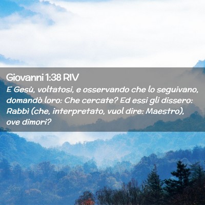 Picture 02 - Giovanni 1:38 RIV - E Gesù, voltatosi, e osservando che lo - Bible Verse Picture