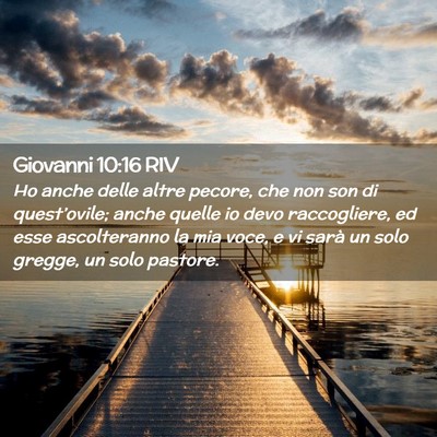 Picture 02 - Giovanni 10:16 RIV - Ho anche delle altre pecore, che non son di - Bible Verse Picture