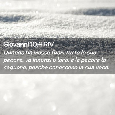 Picture 02 - Giovanni 10:4 RIV - Quando ha messo fuori tutte le sue pecore, va - Bible Verse Picture