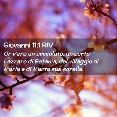 Picture 02 - Giovanni 11:1 RIV - Or v’era un ammalato, un certo Lazzaro di - Bible Verse Picture