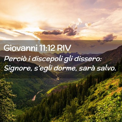 Picture 02 - Giovanni 11:12 RIV - Perciò i discepoli gli dissero: Signore, - Bible Verse Picture
