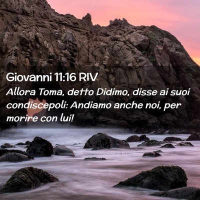 Picture 02 - Giovanni 11:16 RIV - Allora Toma, detto Didimo, disse ai suoi - Bible Verse Picture