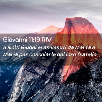Picture 02 - Giovanni 11:19 RIV - e molti Giudei eran venuti da Marta e Maria per - Bible Verse Picture