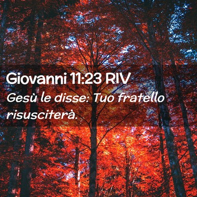 Picture 02 - Giovanni 11:23 RIV - Gesù le disse: Tuo fratello - Bible Verse Picture