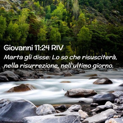 Picture 02 - Giovanni 11:24 RIV - Marta gli disse: Lo so che risusciterà, nella - Bible Verse Picture
