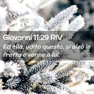 Picture 02 - Giovanni 11:29 RIV - Ed ella, udito questo, si alzò in fretta e venne - Bible Verse Picture