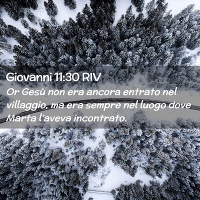 Picture 02 - Giovanni 11:30 RIV - Or Gesù non era ancora entrato nel villaggio, ma - Bible Verse Picture