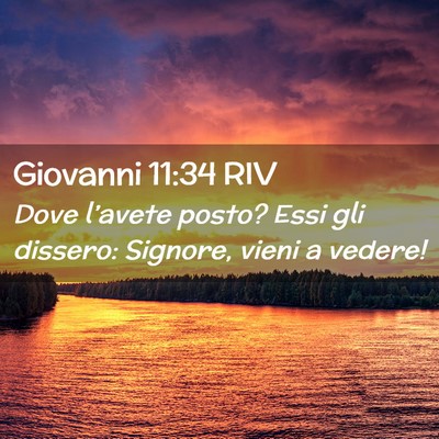 Picture 02 - Giovanni 11:34 RIV - Dove l’avete posto? Essi gli dissero: Signore, - Bible Verse Picture