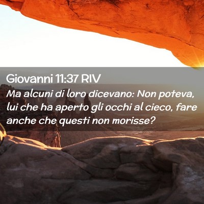 Picture 02 - Giovanni 11:37 RIV - Ma alcuni di loro dicevano: Non poteva, lui che - Bible Verse Picture