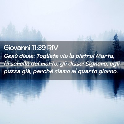 Picture 02 - Giovanni 11:39 RIV - Gesù disse: Togliete via la pietra! Marta, la - Bible Verse Picture