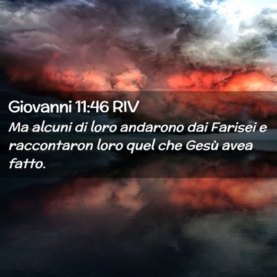 Picture 02 - Giovanni 11:46 RIV - Ma alcuni di loro andarono dai Farisei e - Bible Verse Picture