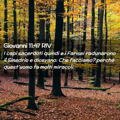 Picture 02 - Giovanni 11:47 RIV - I capi sacerdoti quindi e i Farisei radunarono il - Bible Verse Picture
