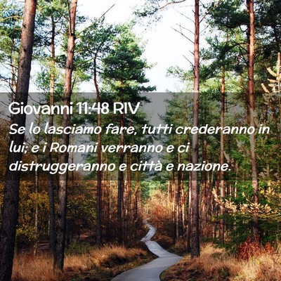Picture 02 - Giovanni 11:48 RIV - Se lo lasciamo fare, tutti crederanno in lui; e i - Bible Verse Picture