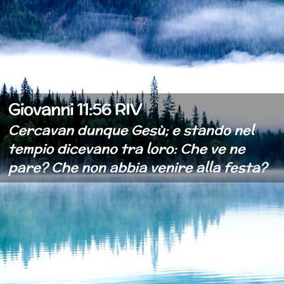 Picture 02 - Giovanni 11:56 RIV - Cercavan dunque Gesù; e stando nel tempio - Bible Verse Picture