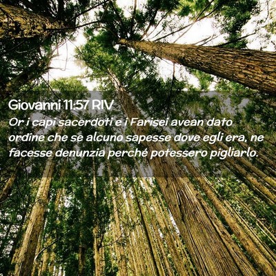 Picture 02 - Giovanni 11:57 RIV - Or i capi sacerdoti e i Farisei avean dato ordine - Bible Verse Picture