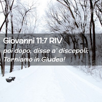 Picture 02 - Giovanni 11:7 RIV - poi dopo, disse a’ discepoli: Torniamo in - Bible Verse Picture