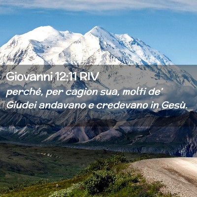 Picture 02 - Giovanni 12:11 RIV - perché, per cagion sua, molti de’ Giudei - Bible Verse Picture
