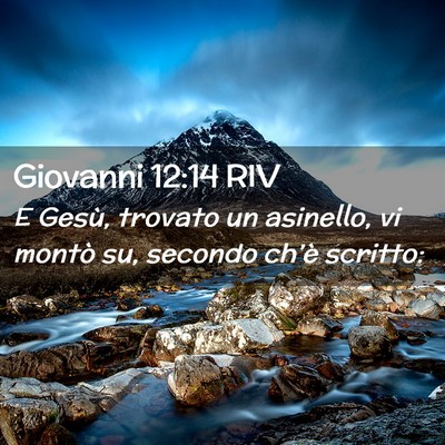 Picture 02 - Giovanni 12:14 RIV - E Gesù, trovato un asinello, vi montò su, - Bible Verse Picture