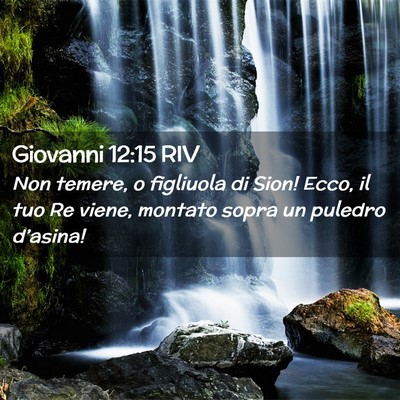 Picture 02 - Giovanni 12:15 RIV - Non temere, o figliuola di Sion! Ecco, il tuo Re - Bible Verse Picture