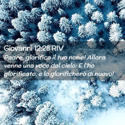 Picture 02 - Giovanni 12:28 RIV - Padre, glorifica il tuo nome! Allora venne una - Bible Verse Picture