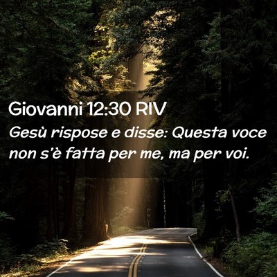 Picture 02 - Giovanni 12:30 RIV - Gesù rispose e disse: Questa voce non s’è - Bible Verse Picture