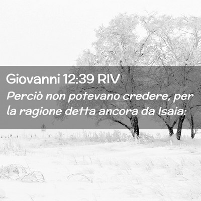 Picture 02 - Giovanni 12:39 RIV - Perciò non potevano credere, per la ragione - Bible Verse Picture